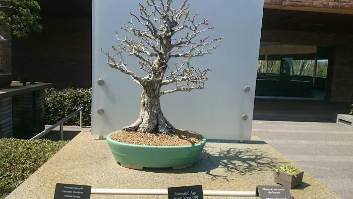 Chicago Botanic Garden Yoga, Tai Chi, Wellness, and Fitness Programs Picture 9