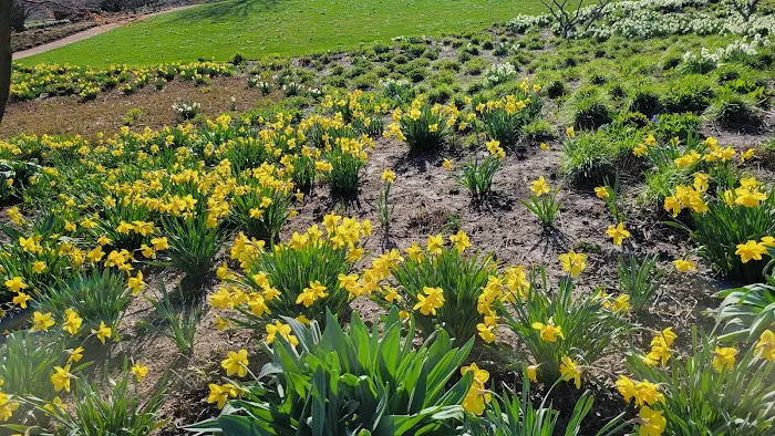 Chicago Botanic Garden Yoga, Tai Chi, Wellness, and Fitness Programs Picture 7