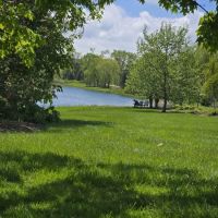 Parking botanical ico