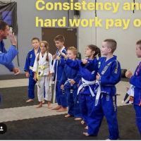 LIONIZE Training Center ico