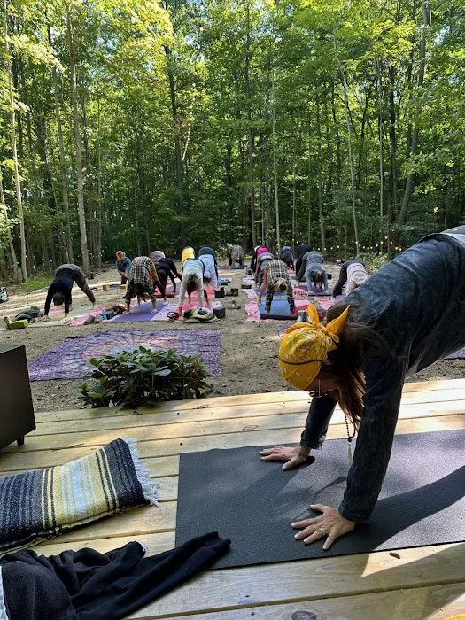 Just Bee Yoga Picture 4