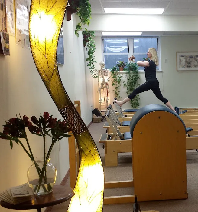 Harmonious Pilates Picture 2