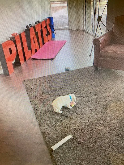 PilateSmart Picture 6