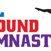 All Around Academy of Gymnastics ico