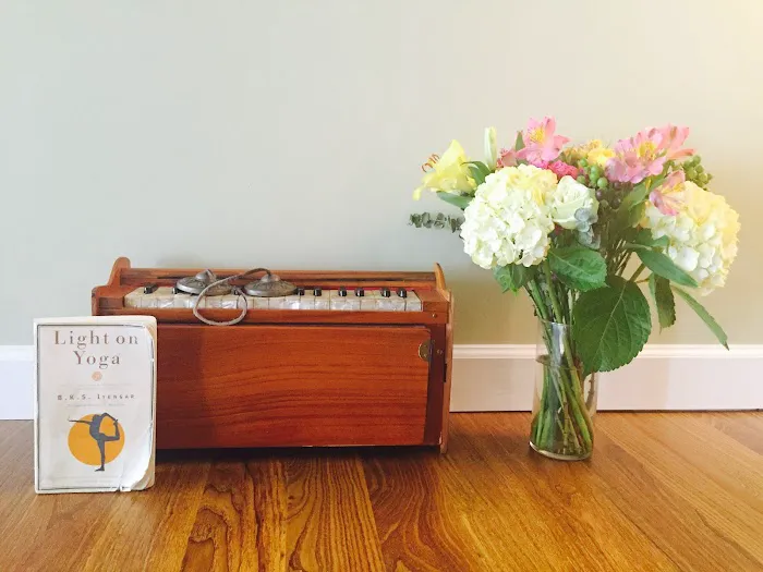 Joy Of Yoga Picture 3