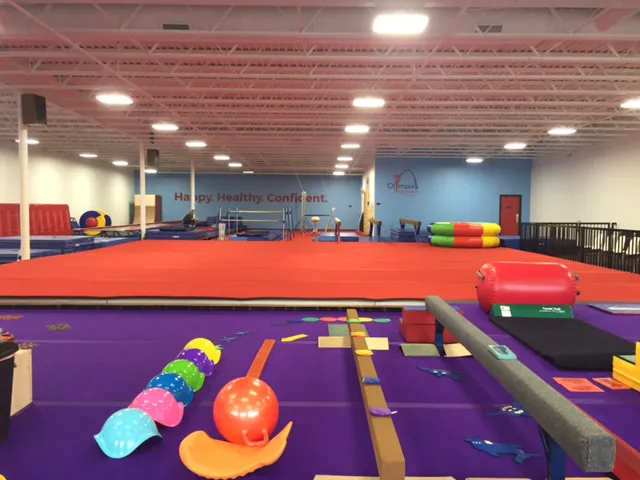 Olympia Gymnastics - Rock Hill Picture 4