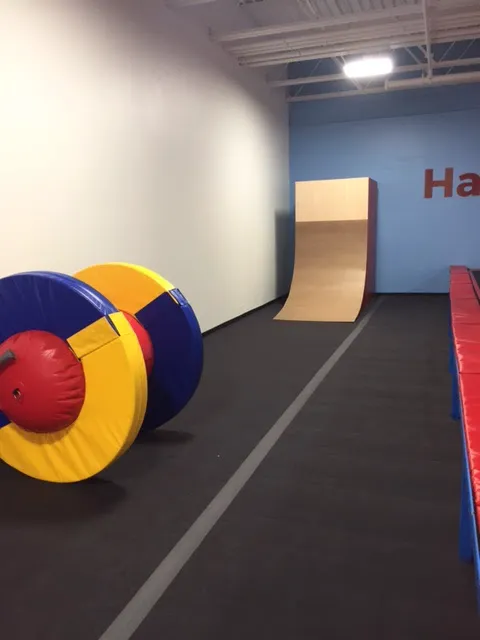 Olympia Gymnastics - Rock Hill Picture 2