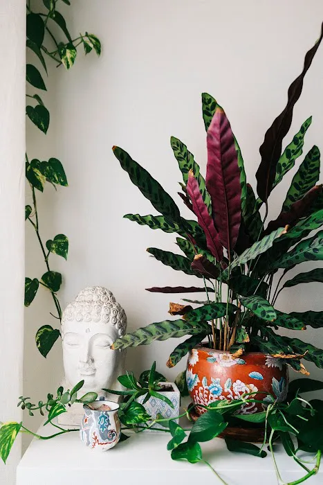 Shanti Yoga Picture 2