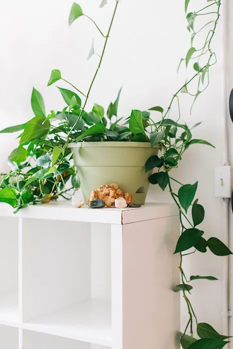 Shanti Yoga Picture 1