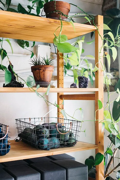 Shanti Yoga Picture 10