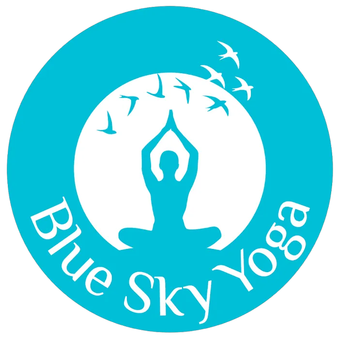 Blue Sky Yoga St. Louis Picture 6