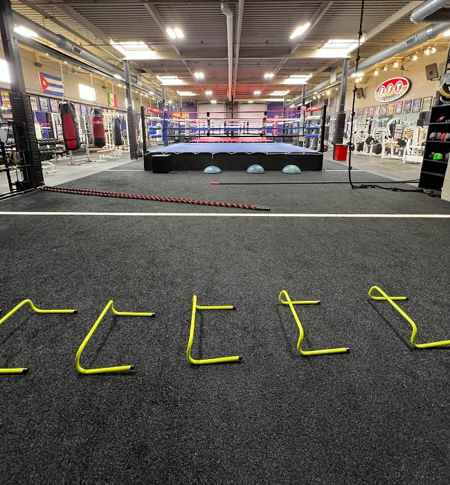 Warehouse Gym & Boxing Club Picture 8