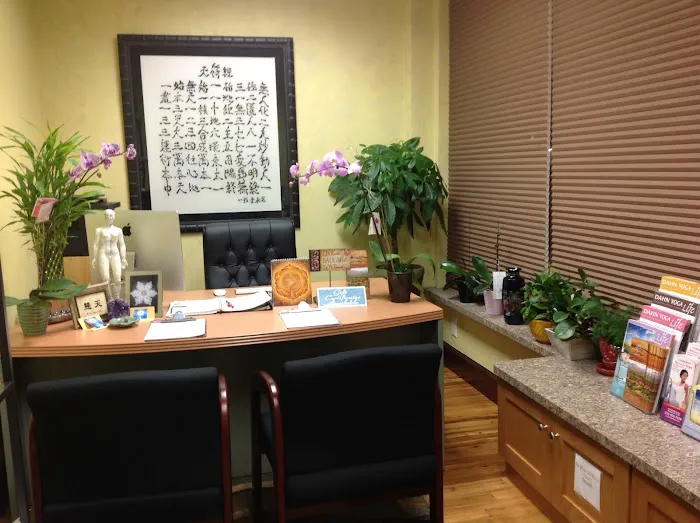 Body & Brain Yoga Tai Chi Picture 1
