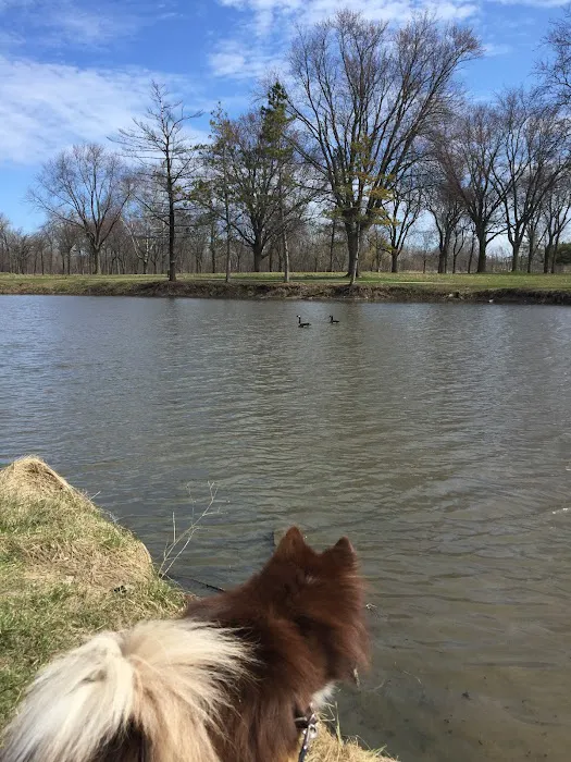 Park Fitness Picture 9