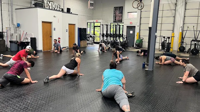 CrossFit Lykos (Lake Zurich) Picture 7