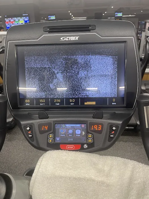 Foglia YMCA Picture 3