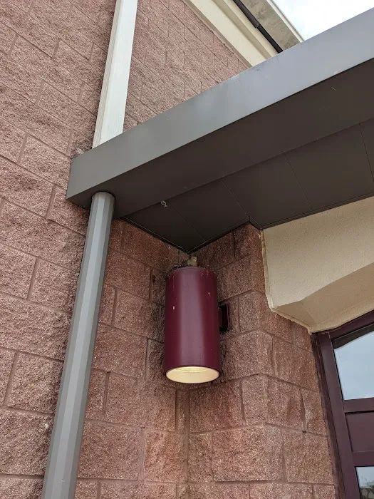 Foglia YMCA Picture 2