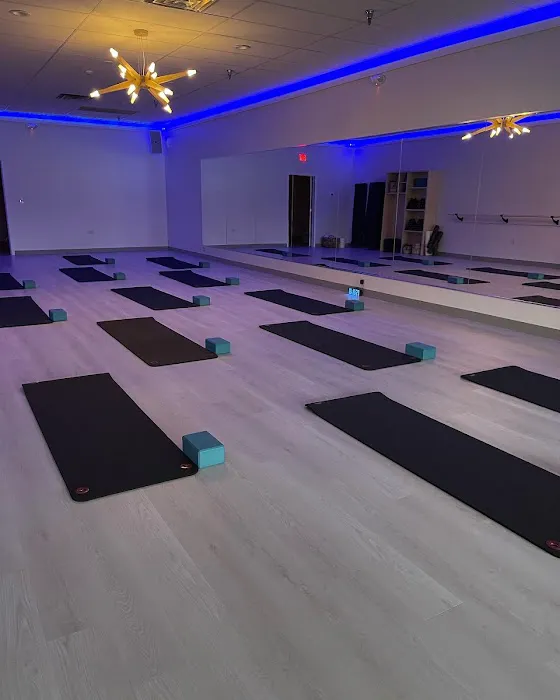 Studio Elevate Fit Picture 6