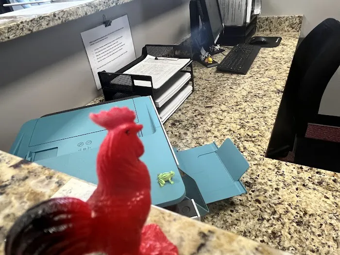 PRO FITNESS GYM Picture 3