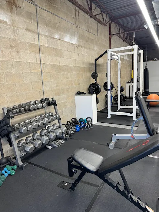 PACED Fitness Inc. Picture 5