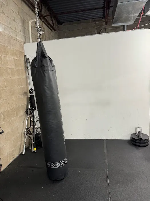 PACED Fitness Inc. Picture 3