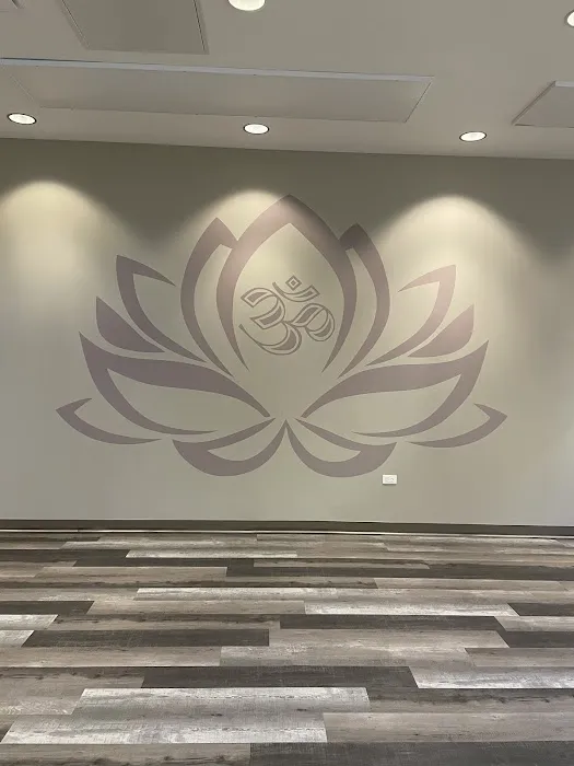 Melt Pilates & Hot yoga Picture 4