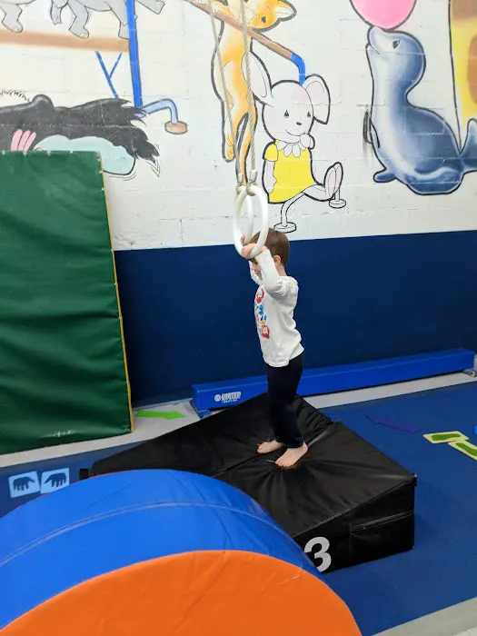 St Louis Gym Centre Picture 8