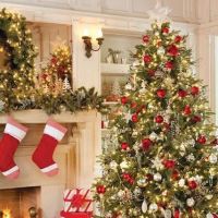 St Louis Gym Centre ico