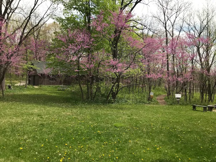 Mindset Yoga Picture 4