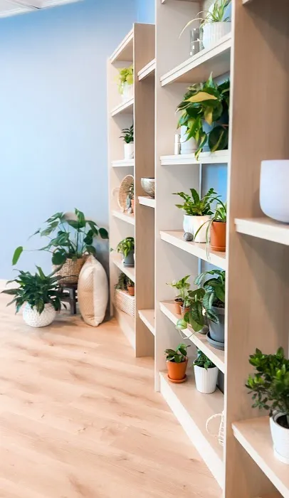 Mindful Movement Yoga Picture 1