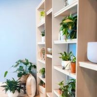 Mindful Movement Yoga ico