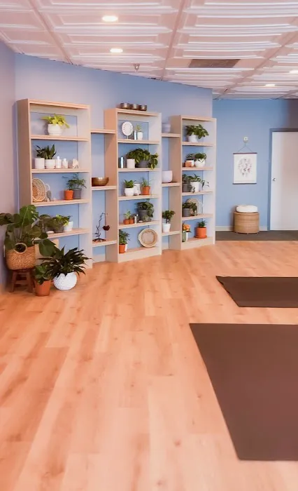 Mindful Movement Yoga Picture 2