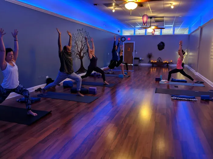 Pulsation Yoga Picture 10