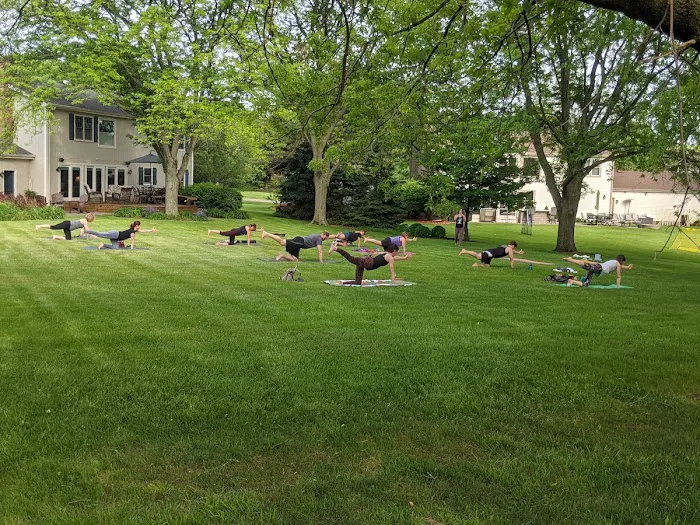 Pulsation Yoga Picture 9