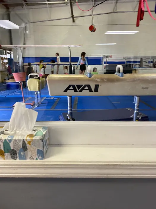 Trinity Academy of Gymnastics Picture 3