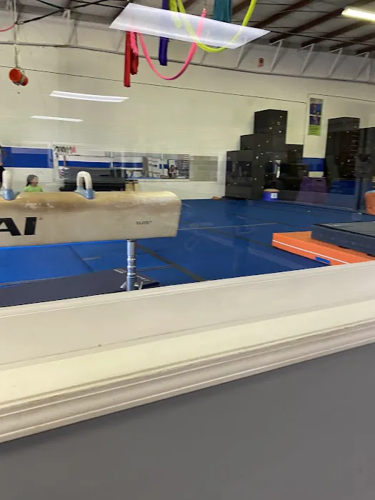 Trinity Academy of Gymnastics Picture 1