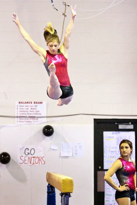 Crystal Lake Gymnastics Training Center Picture 2