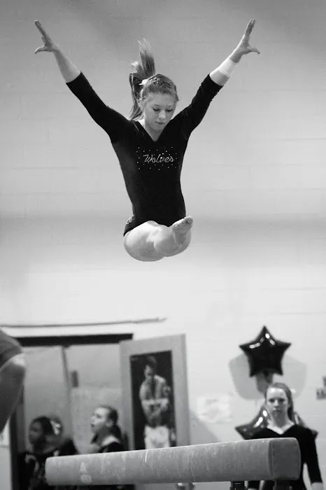 Crystal Lake Gymnastics Training Center Picture 1