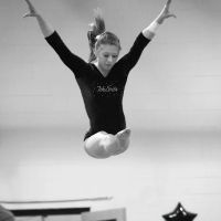 Crystal Lake Gymnastics Training Center ico