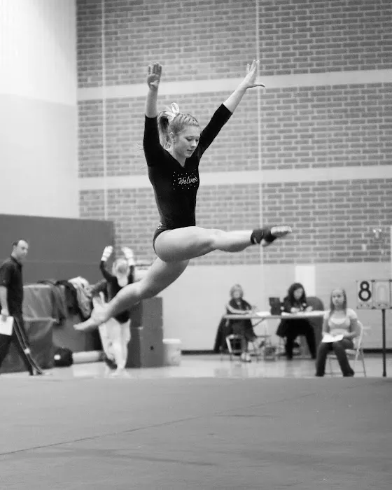 Crystal Lake Gymnastics Training Center Picture 7