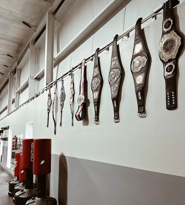 Spartan Boxing & Fitness Picture 6