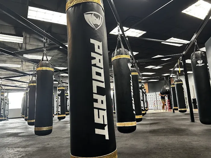 Saint Louis Boxing Club Picture 7