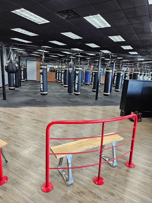 Saint Louis Boxing Club Picture 10