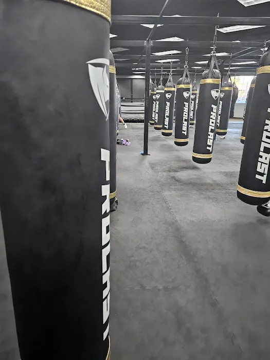 Saint Louis Boxing Club Picture 1