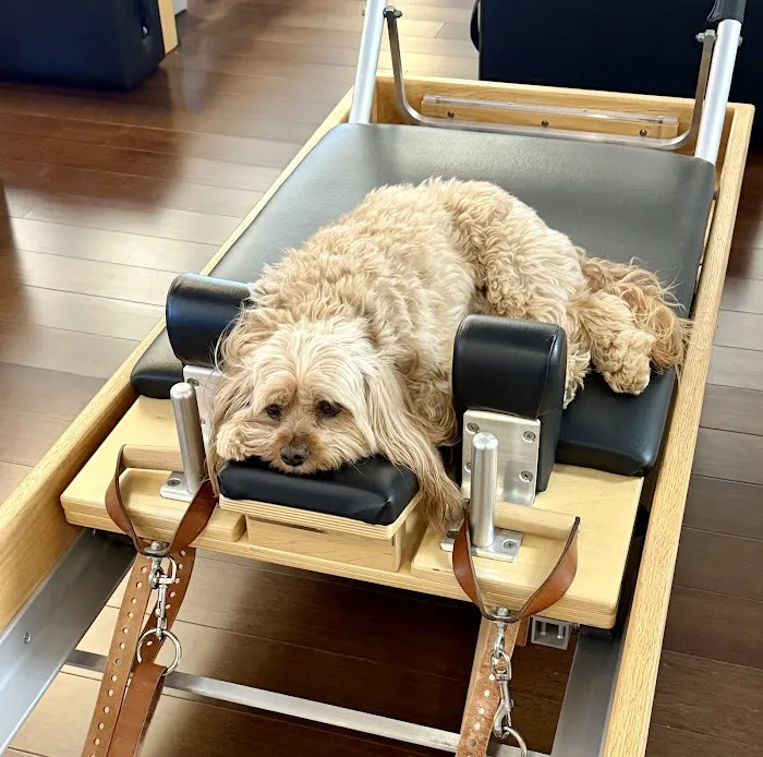 Pilates & Custom Fitness Picture 6