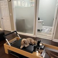 Pilates & Custom Fitness ico