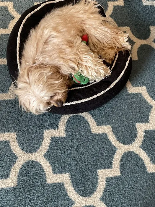 Pilates & Custom Fitness Picture 3