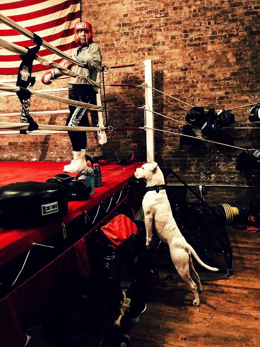 Trinity Boxing Club Picture 1