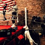 Trinity Boxing Club