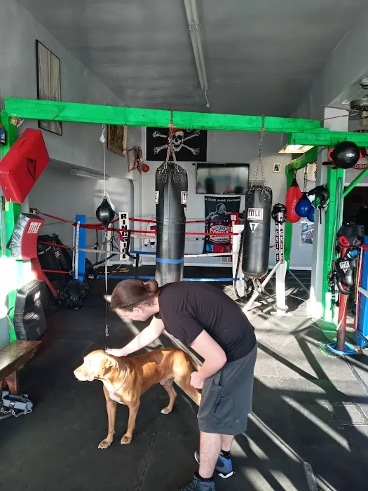 Eppley Boxing And Kickboxing Picture 5